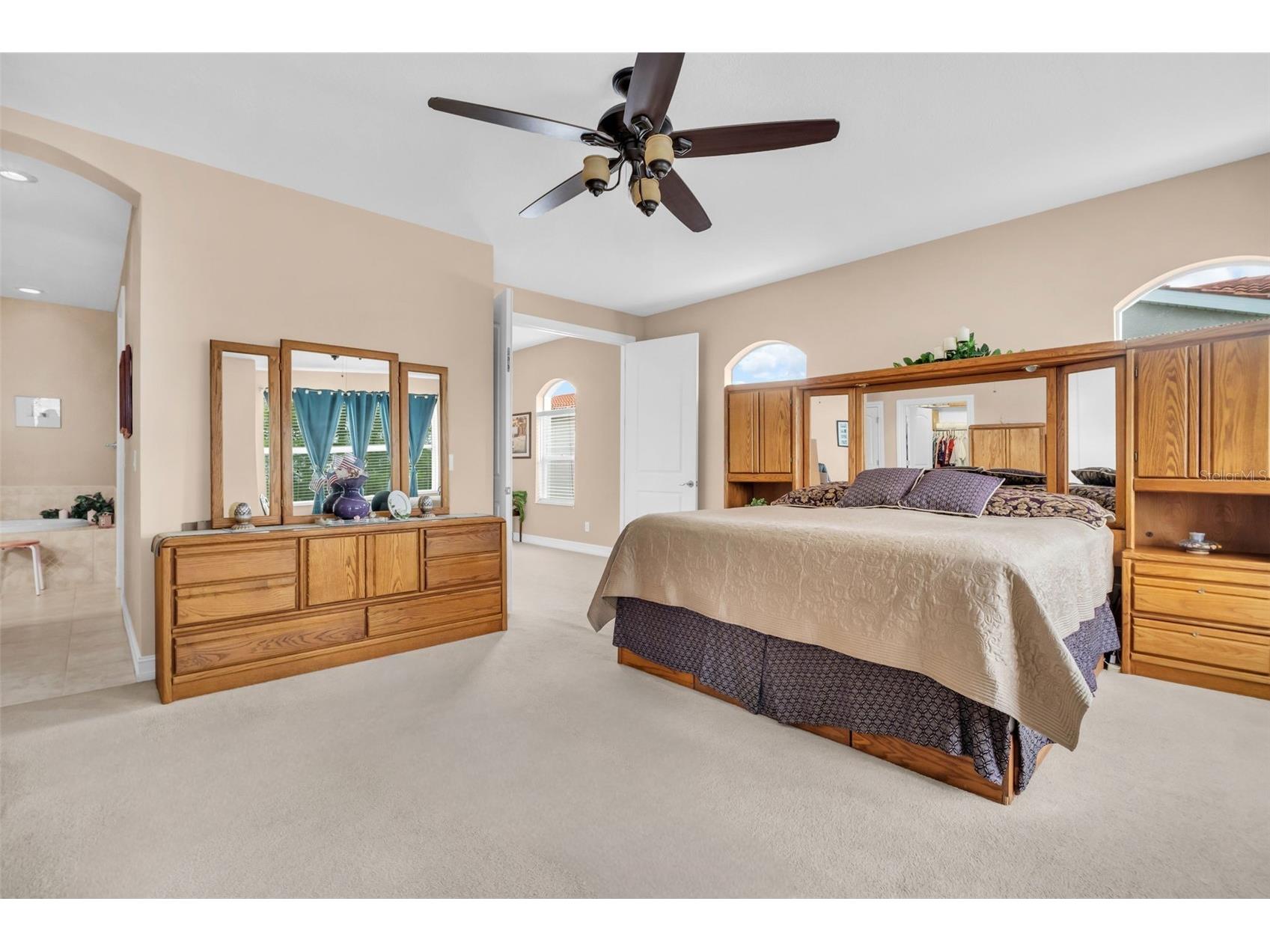 1460 Ribolla Drive Palm Harbor FL 34683 TB8522358 image27