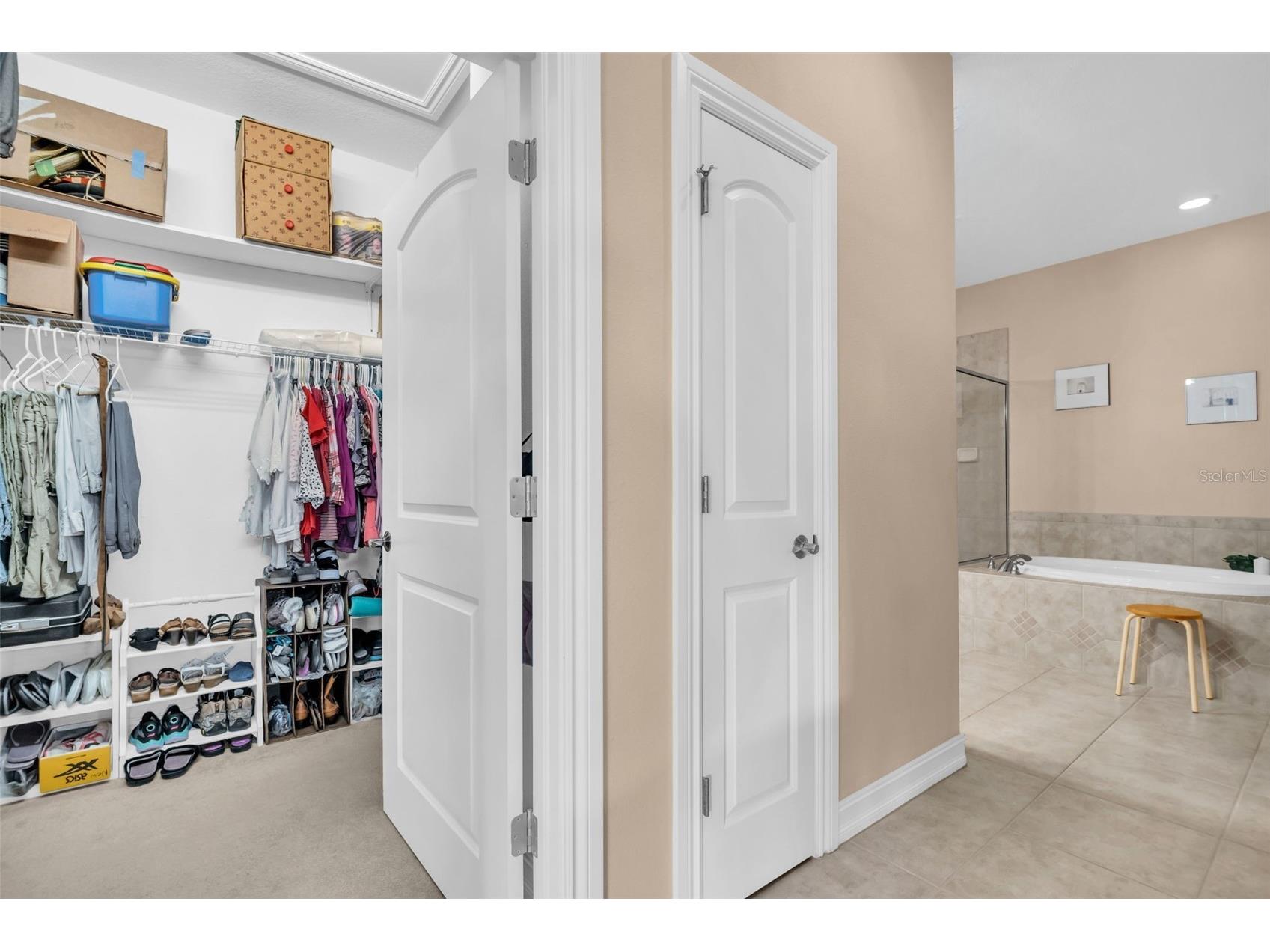 1460 Ribolla Drive Palm Harbor FL 34683 TB8522358 image28