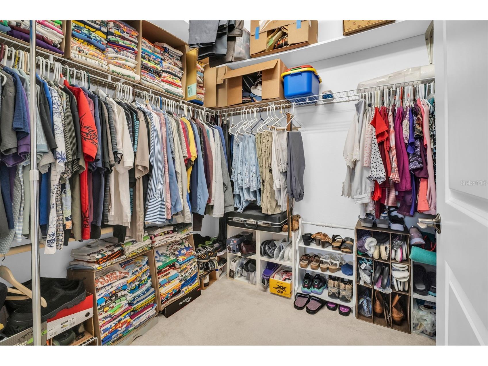 1460 Ribolla Drive Palm Harbor FL 34683 TB8522358 image29