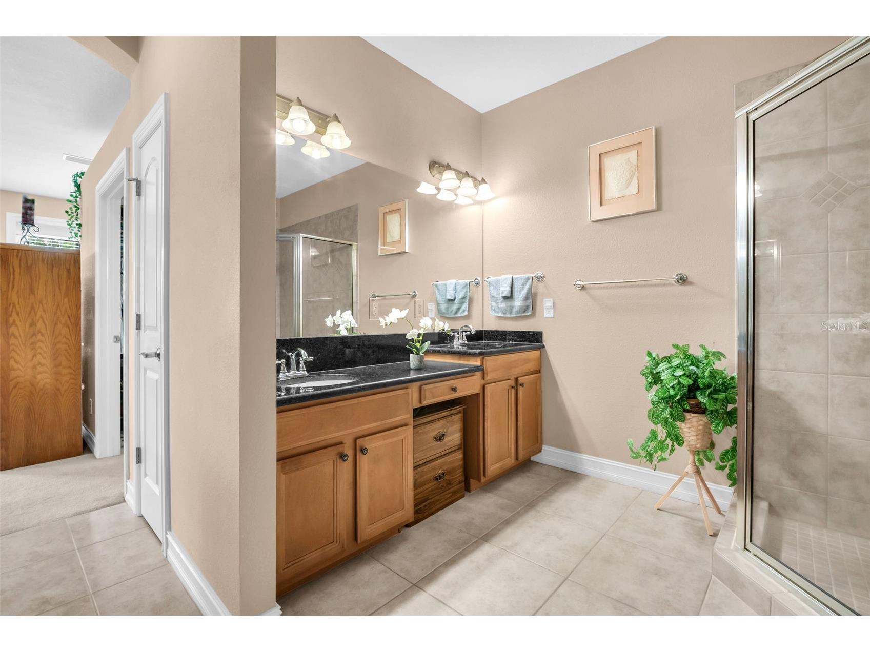 1460 Ribolla Drive Palm Harbor FL 34683 TB8522358 image30
