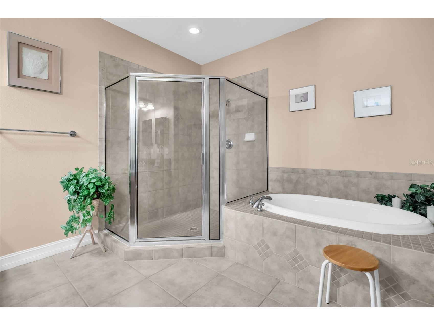 1460 Ribolla Drive Palm Harbor FL 34683 TB8522358 image31