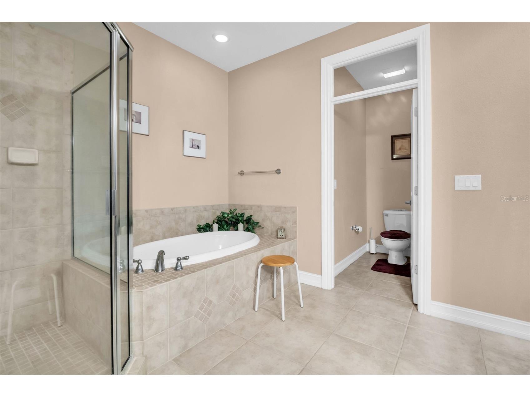 1460 Ribolla Drive Palm Harbor FL 34683 TB8522358 image32