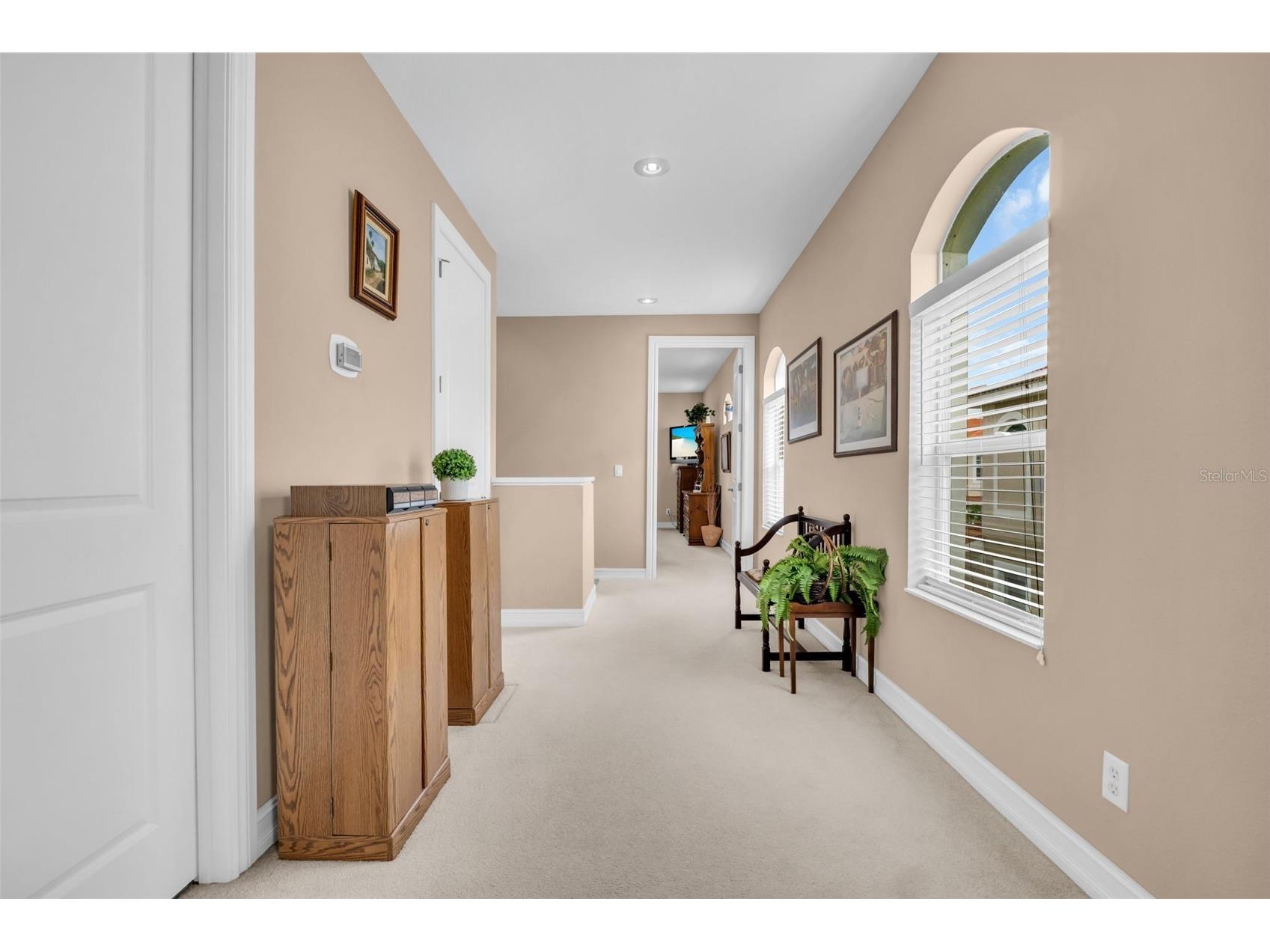 1460 Ribolla Drive Palm Harbor FL 34683 TB8522358 image33