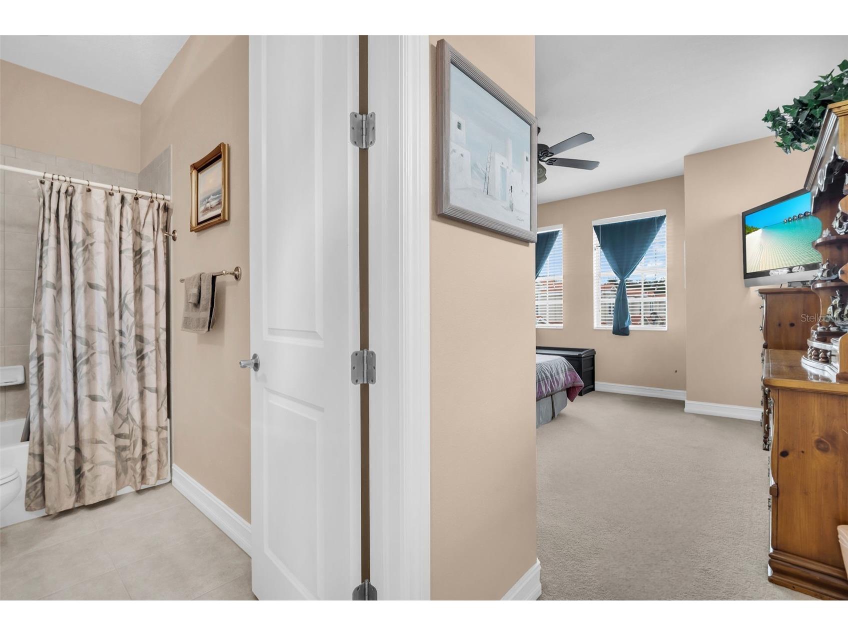 1460 Ribolla Drive Palm Harbor FL 34683 TB8522358 image35