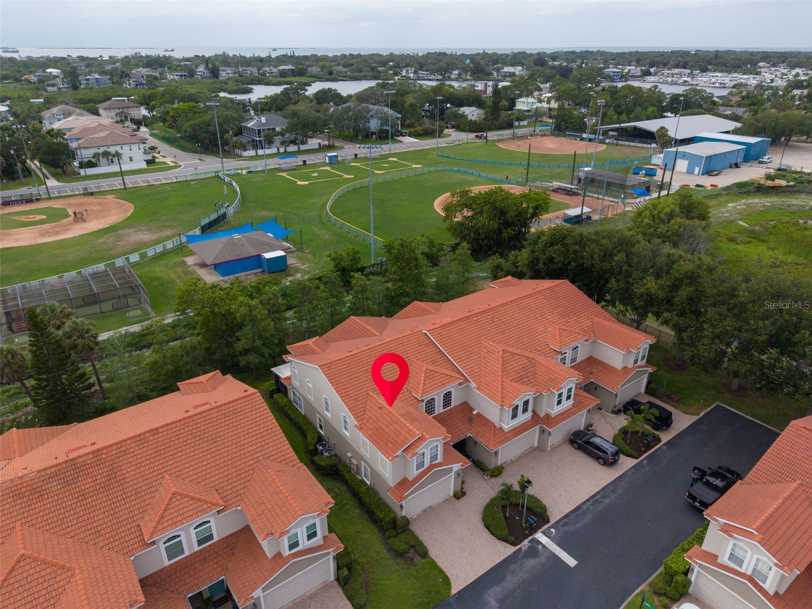 1460 Ribolla Drive Palm Harbor FL 34683 TB8522358 image46