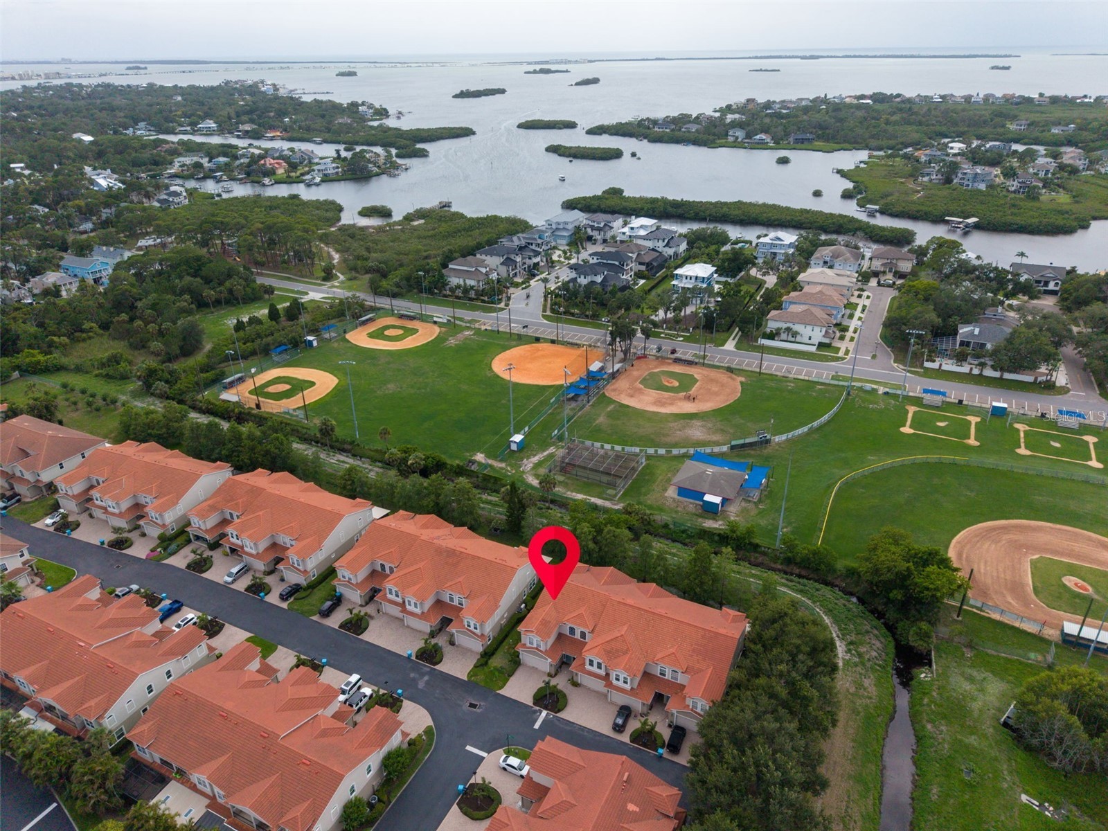 1460 Ribolla Drive Palm Harbor FL 34683 TB8522358 image47