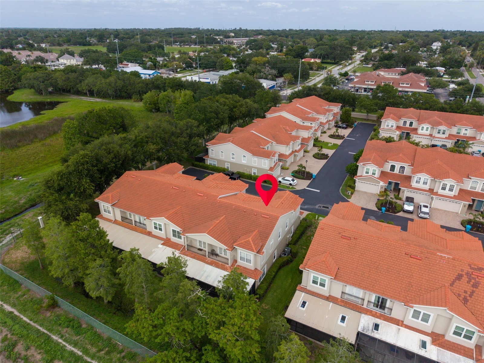 1460 Ribolla Drive Palm Harbor FL 34683 TB8522358 image48