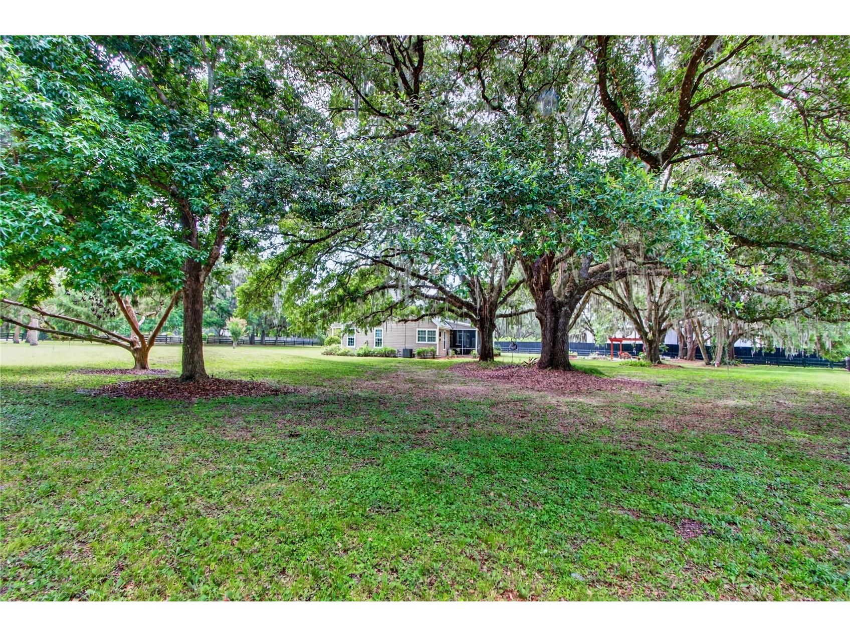 1460 Van Arsdale Street Oviedo FL 32765 O6416547 image81