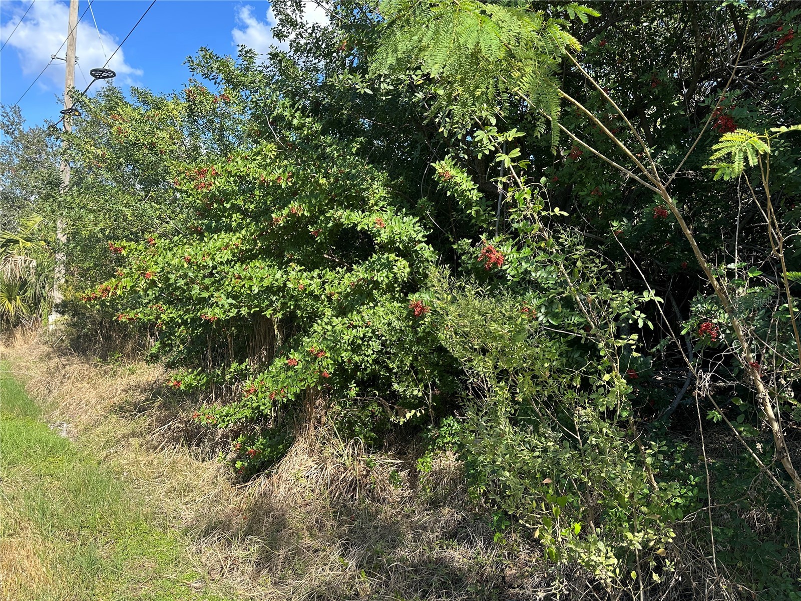 1460 Westover Street Port Charlotte FL 33953 A4677679 image4