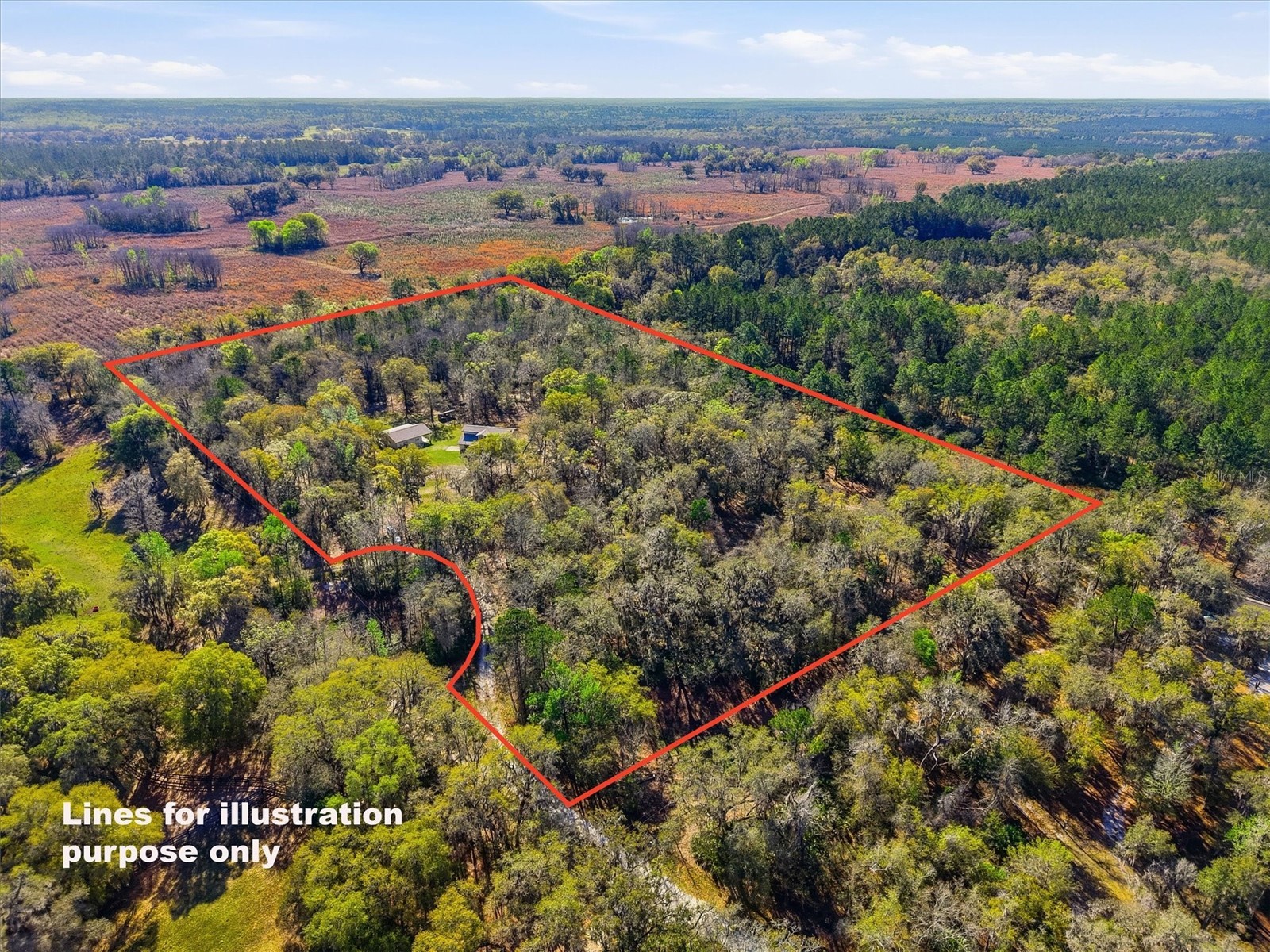 14600 NW 216th Place Micanopy FL 32667 GC536027 image51