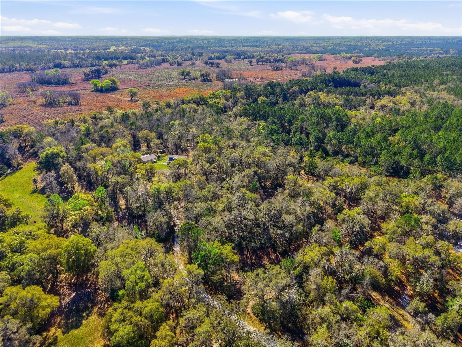 14600 NW 216th Place Micanopy FL 32667 GC536027 image52