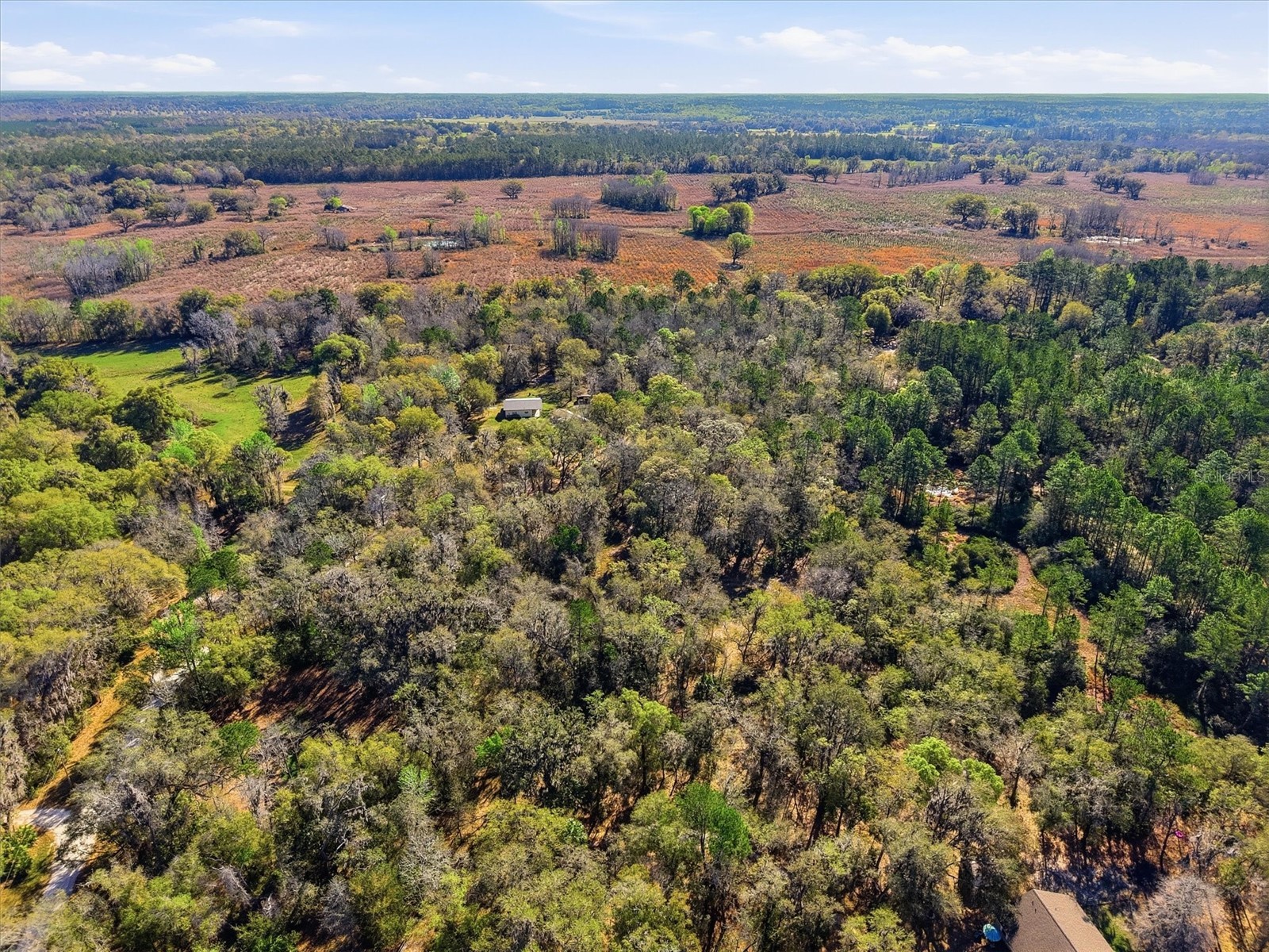 14600 NW 216th Place Micanopy FL 32667 GC536027 image53