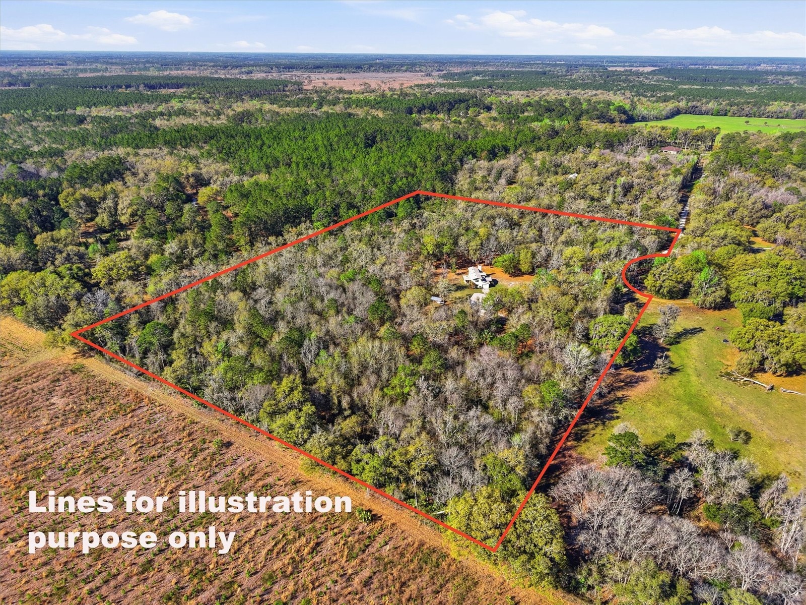 14600 NW 216th Place Micanopy FL 32667 GC536027 image57