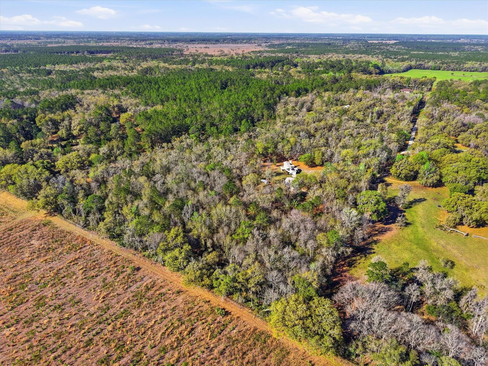 14600 NW 216th Place Micanopy FL 32667 GC536027 image58