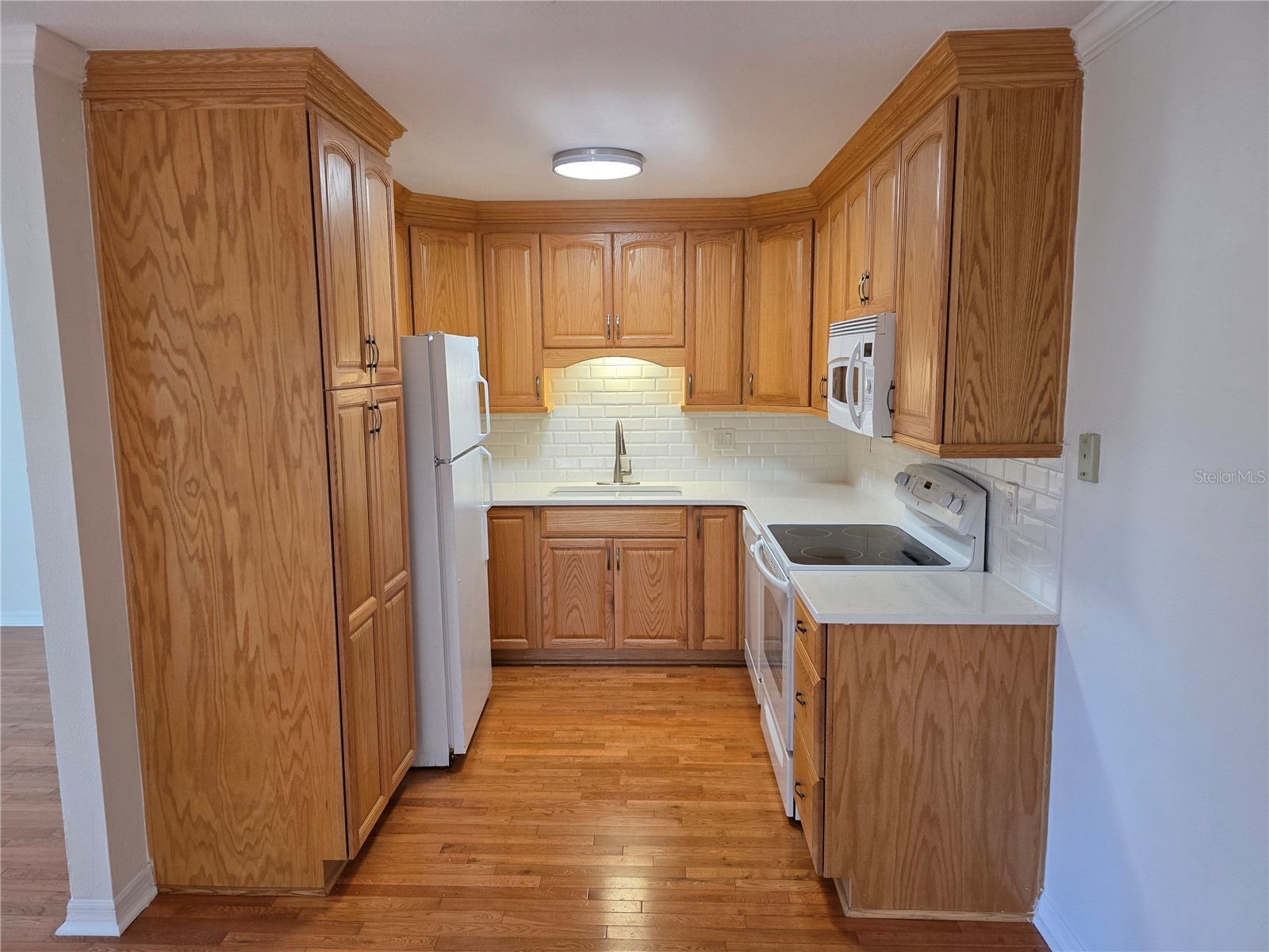 14602 Pine Glen Circle Lutz FL 33559 TB8499447 image13