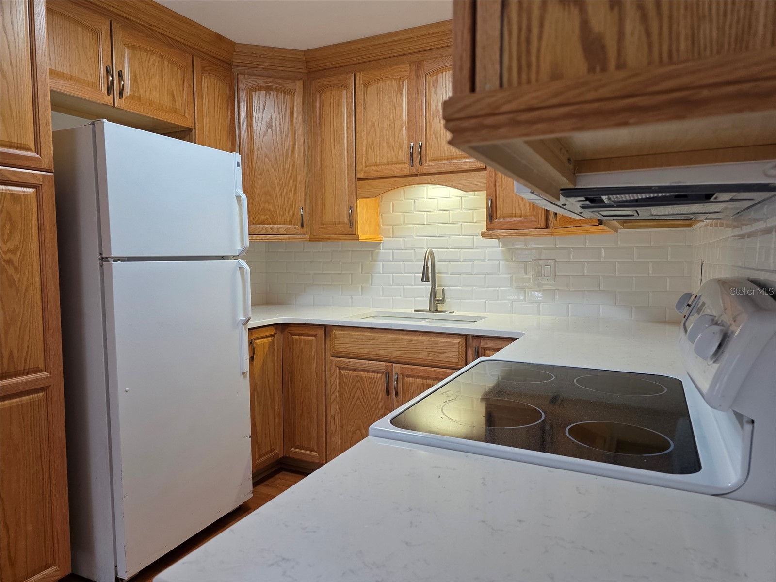 14602 Pine Glen Circle Lutz FL 33559 TB8499447 image14
