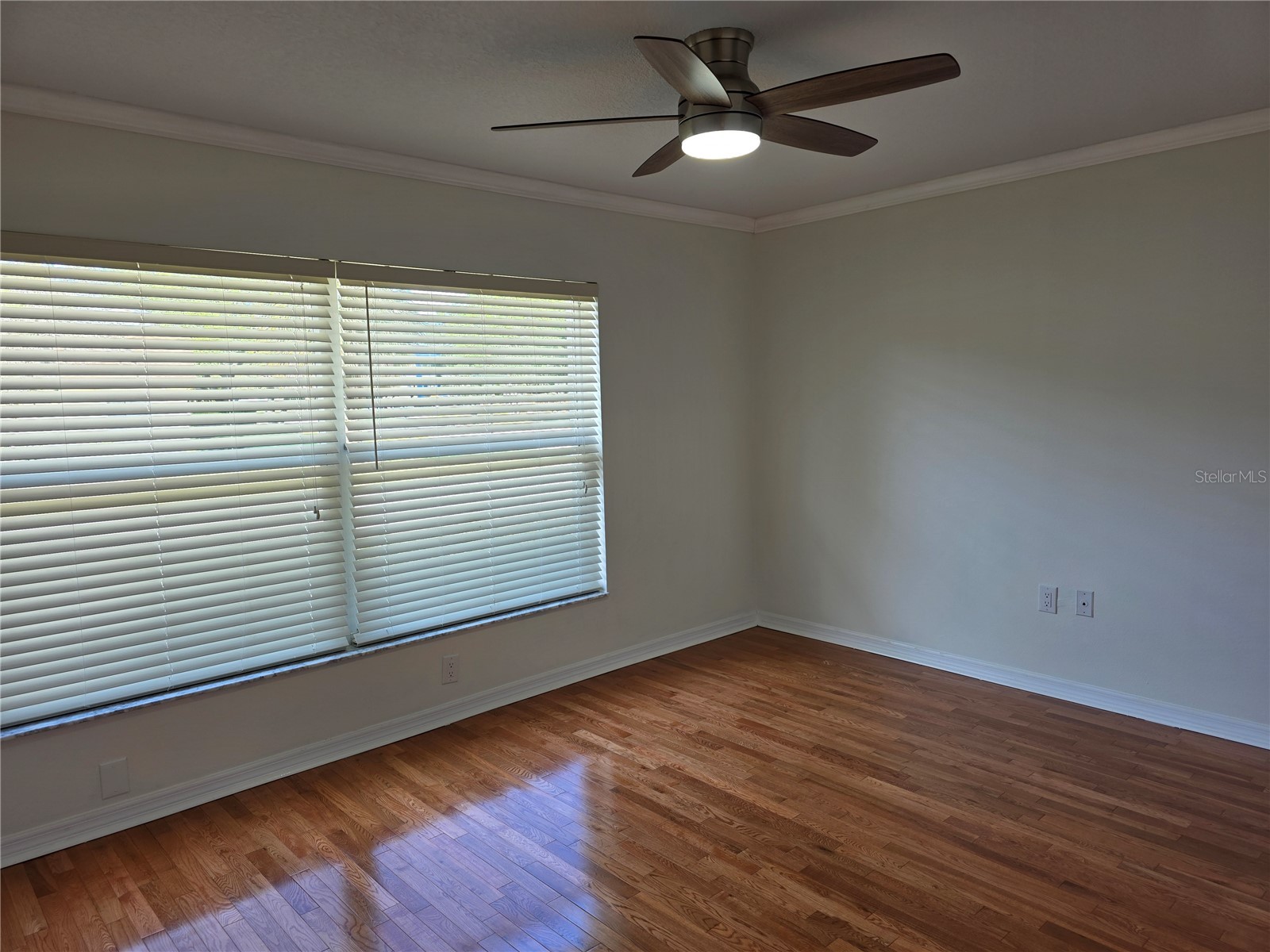 14602 Pine Glen Circle Lutz FL 33559 TB8499447 image16