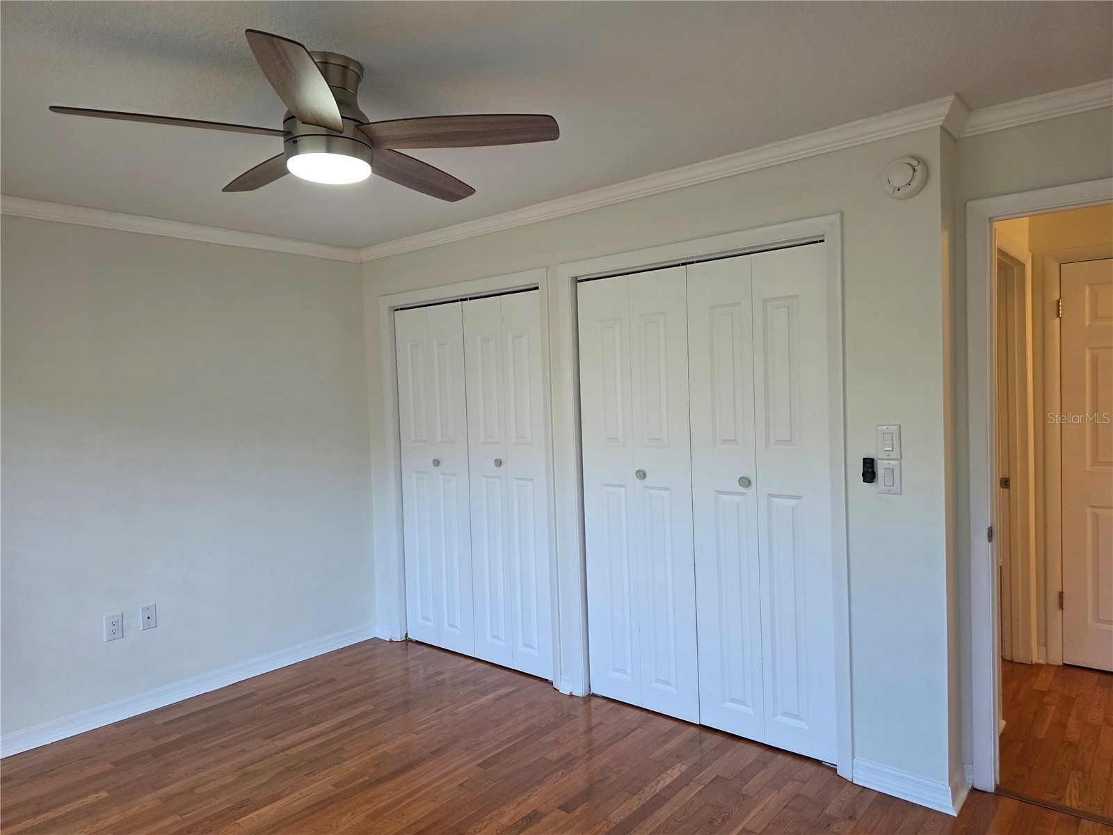 14602 Pine Glen Circle Lutz FL 33559 TB8499447 image17