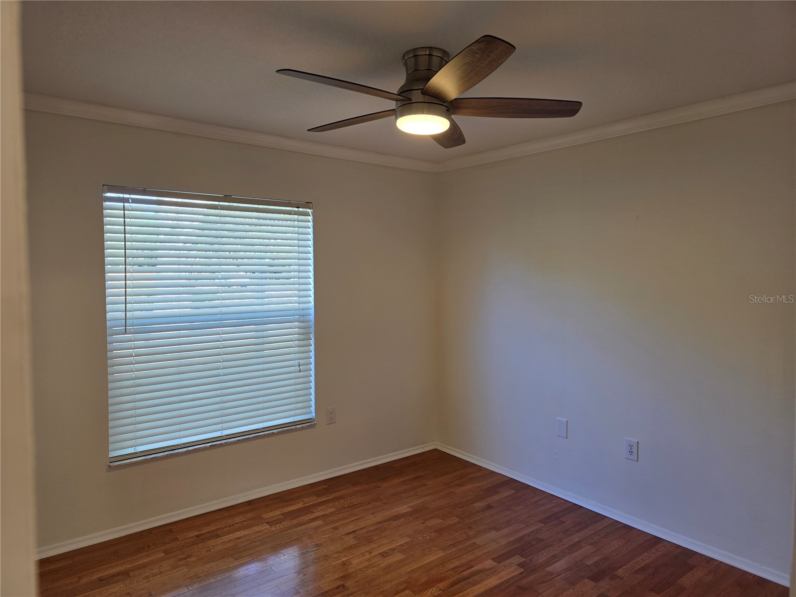 14602 Pine Glen Circle Lutz FL 33559 TB8499447 image25