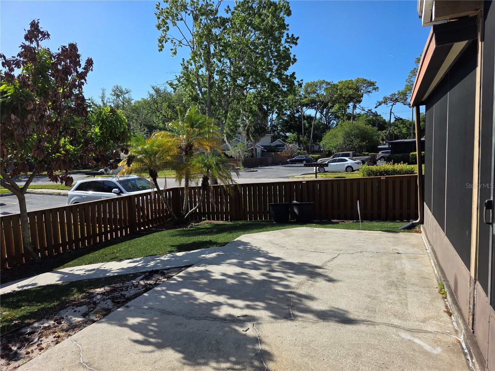 14602 Pine Glen Circle Lutz FL 33559 TB8499447 image31