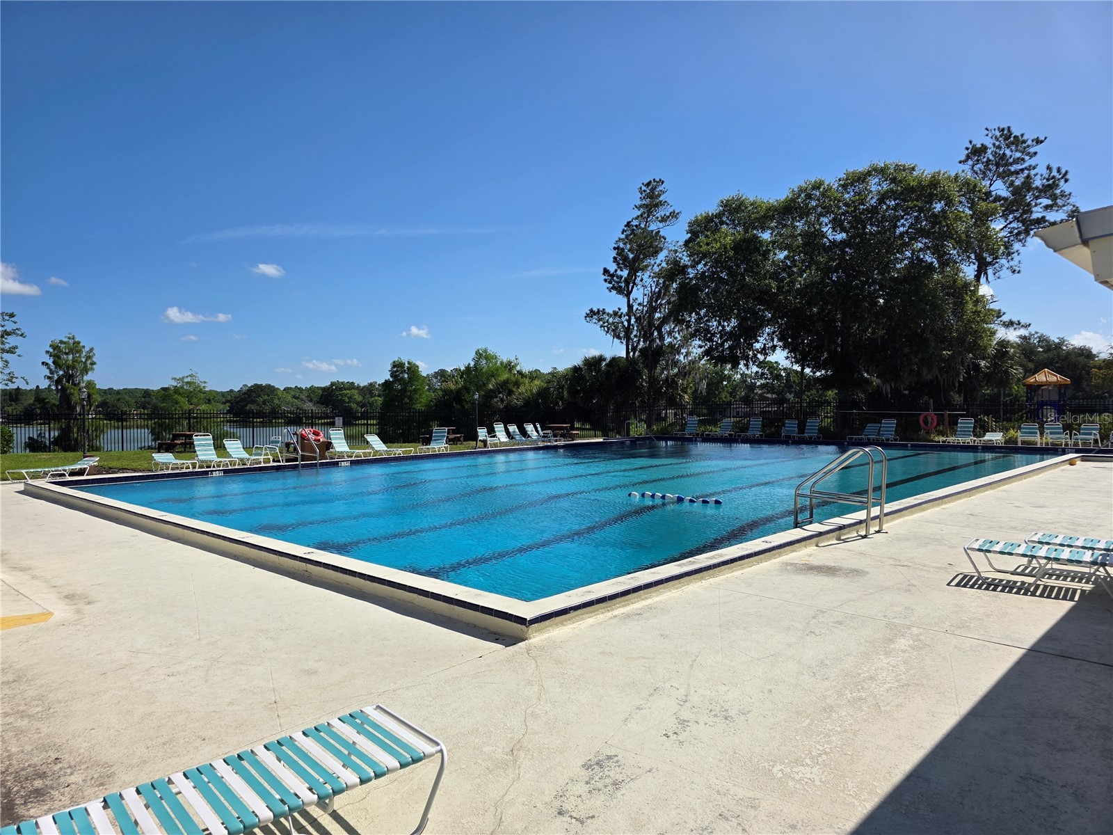 14602 Pine Glen Circle Lutz FL 33559 TB8499447 image37