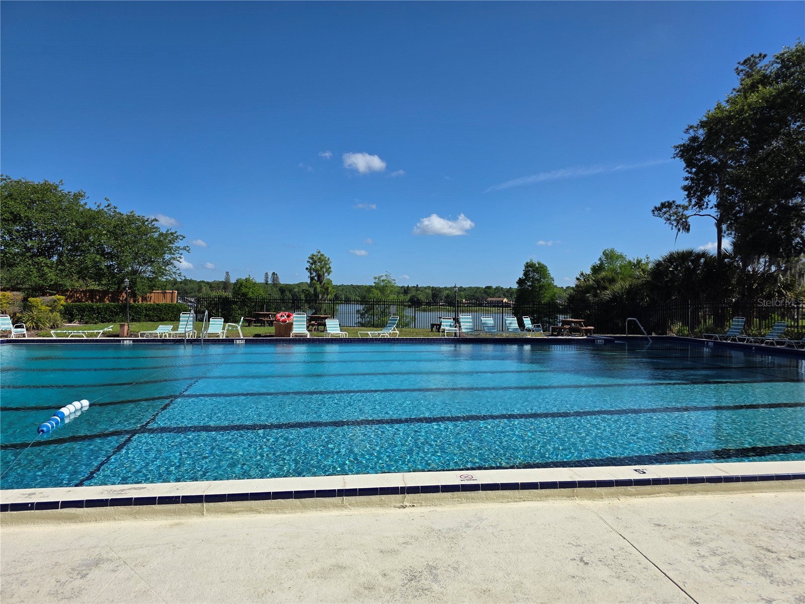 14602 Pine Glen Circle Lutz FL 33559 TB8499447 image38