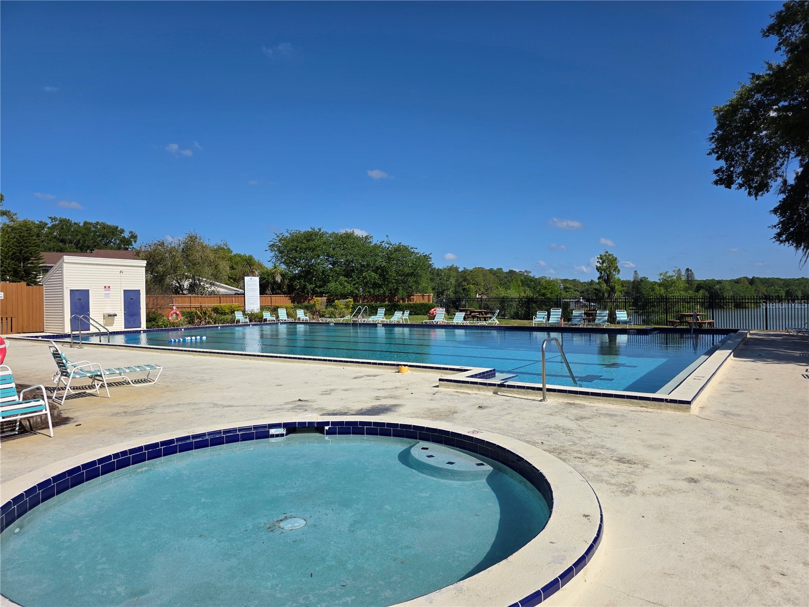 14602 Pine Glen Circle Lutz FL 33559 TB8499447 image39