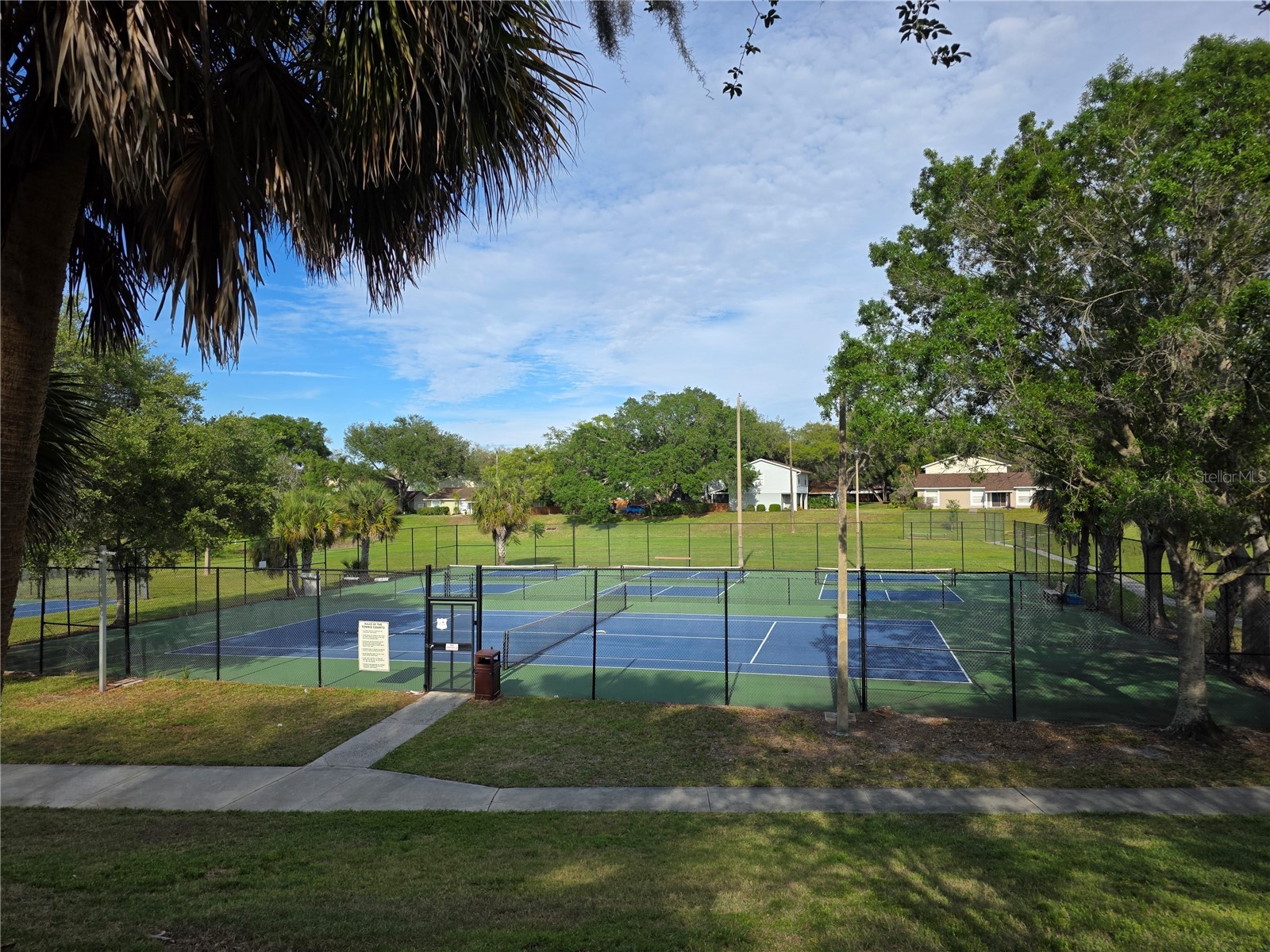 14602 Pine Glen Circle Lutz FL 33559 TB8499447 image41