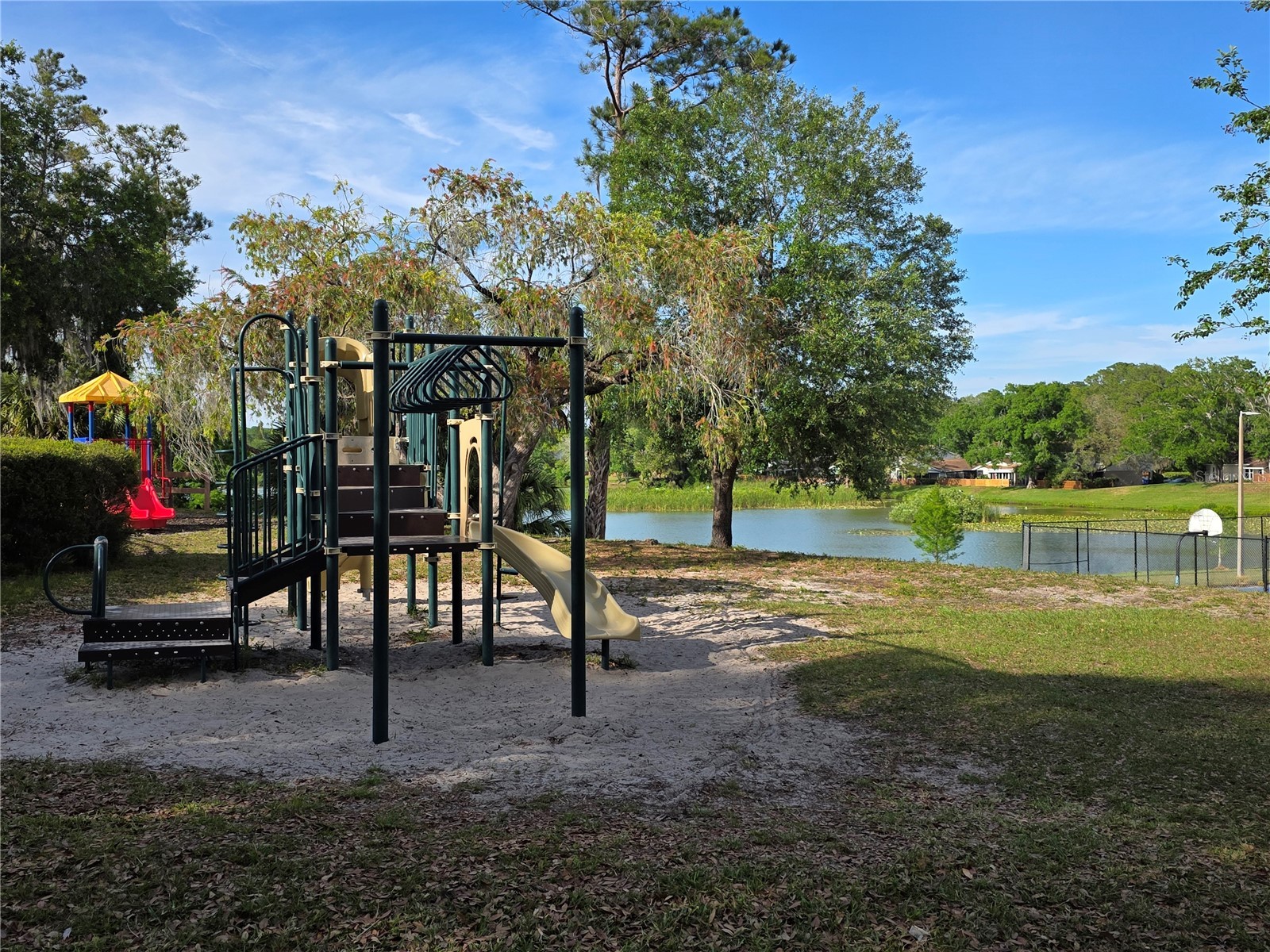 14602 Pine Glen Circle Lutz FL 33559 TB8499447 image43