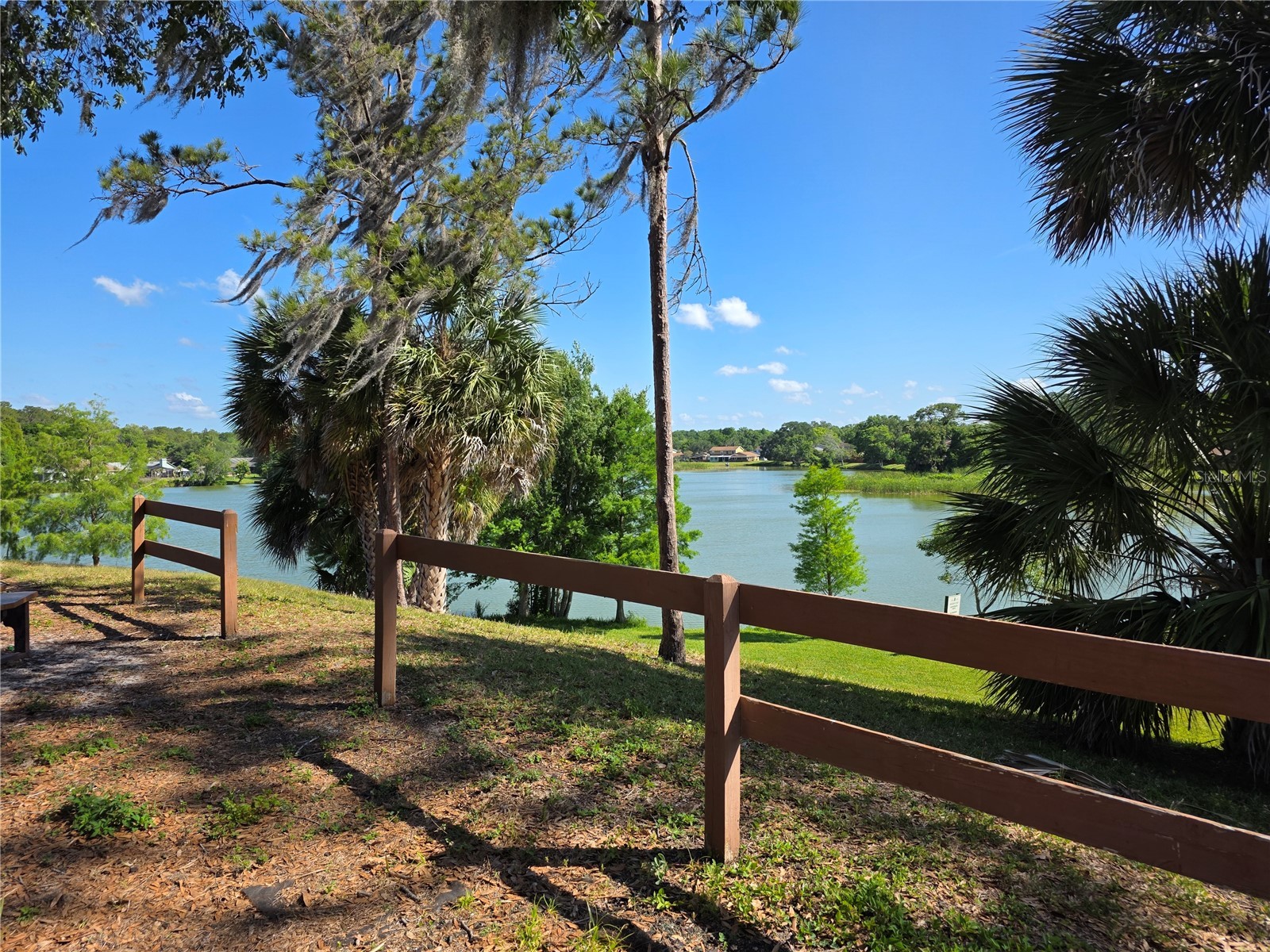14602 Pine Glen Circle Lutz FL 33559 TB8499447 image44