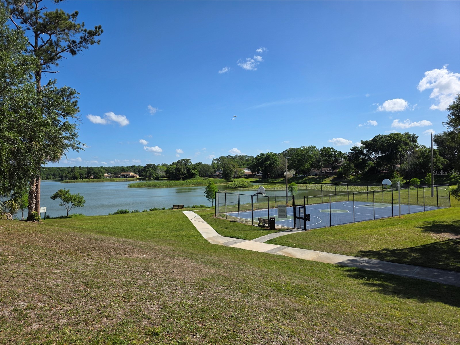 14602 Pine Glen Circle Lutz FL 33559 TB8499447 image45