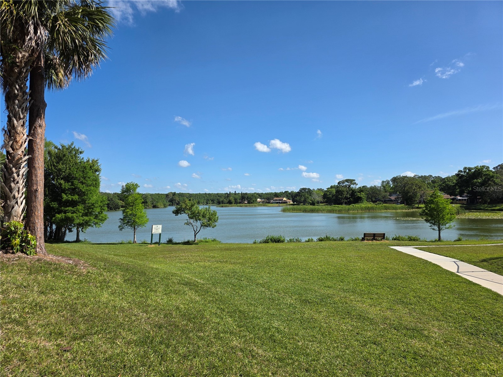 14602 Pine Glen Circle Lutz FL 33559 TB8499447 image46