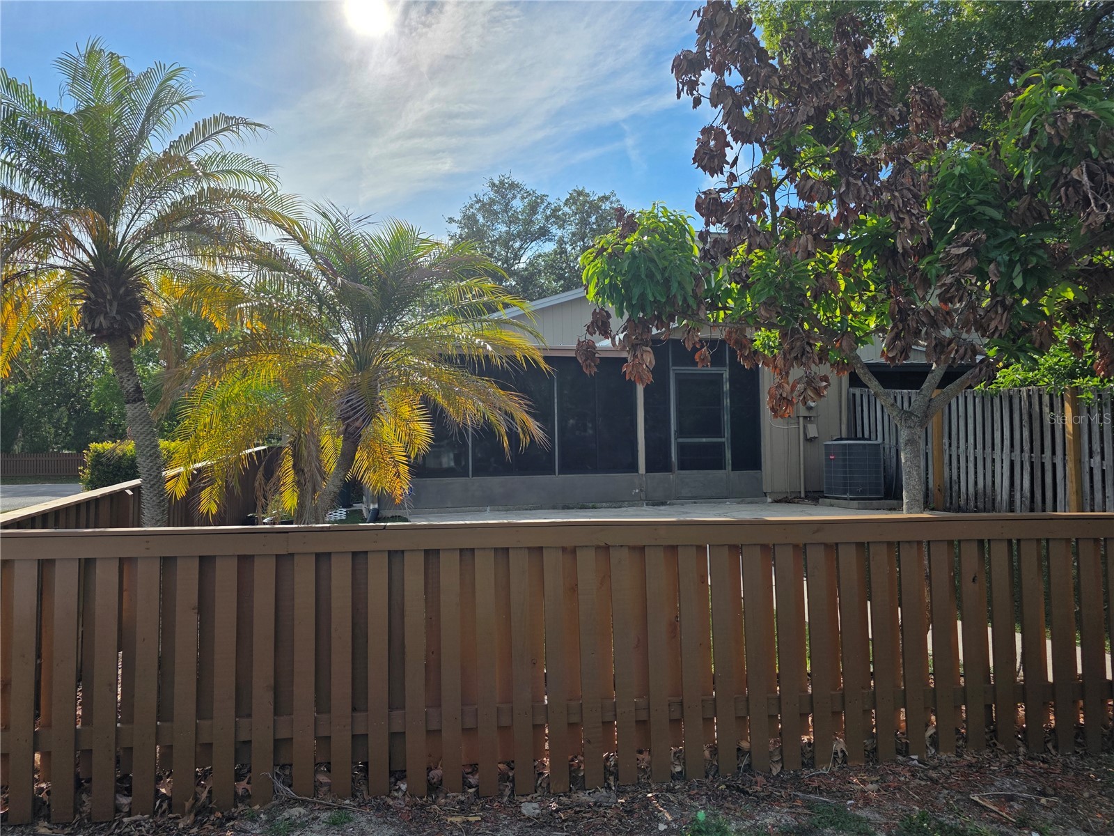 14602 Pine Glen Circle Lutz FL 33559 TB8499447 image6