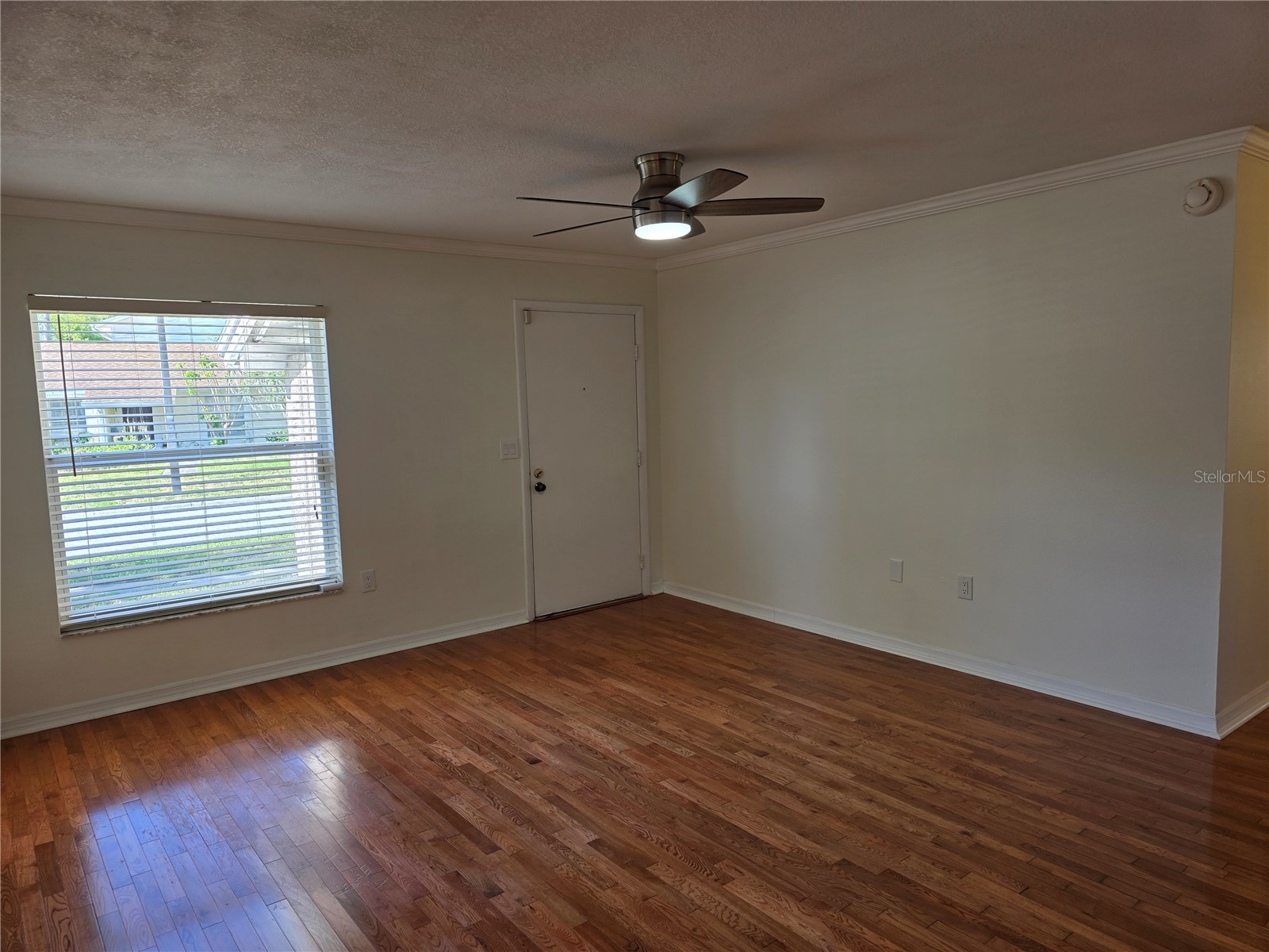 14602 Pine Glen Circle Lutz FL 33559 TB8499447 image7