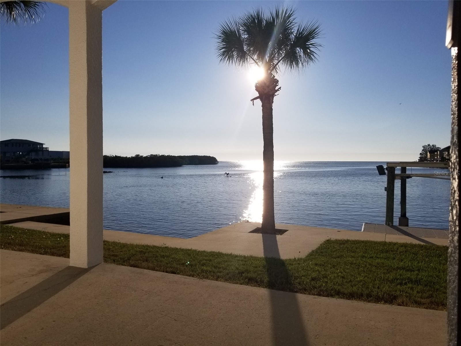 14603 Mcdonald Lane Hudson FL 34667 - COW CREEK TB8465922 image5