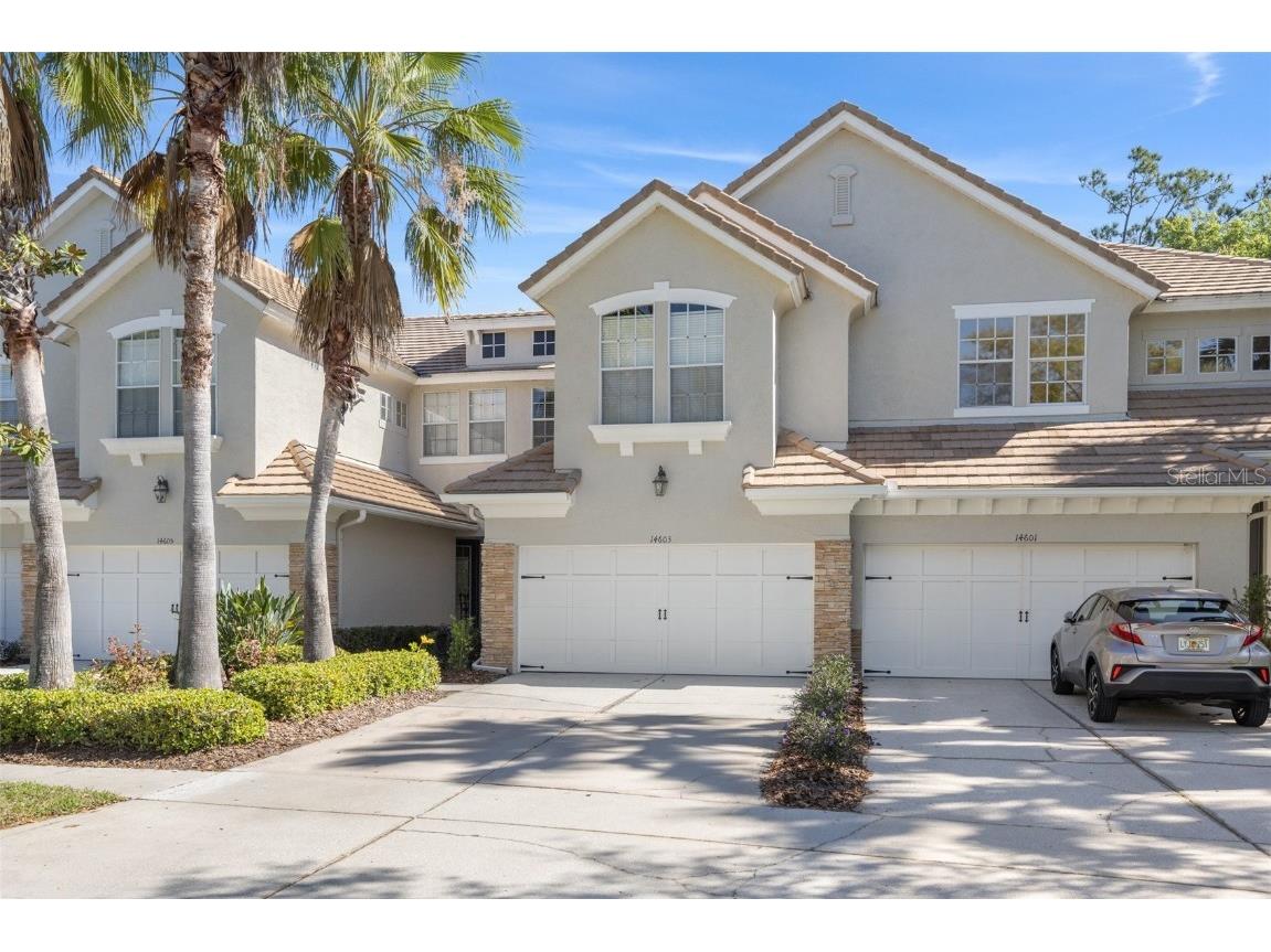 14603 Mirabelle Vista Circle Tampa FL 33626 T3435576 image1