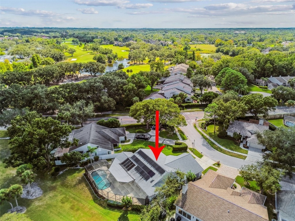 14603 Village Glen Circle Tampa FL 33618 TB8438305 image6