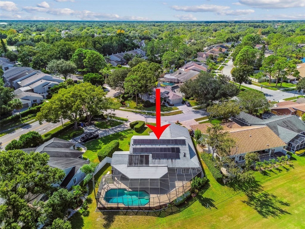 14603 Village Glen Circle Tampa FL 33618 TB8438305 image68