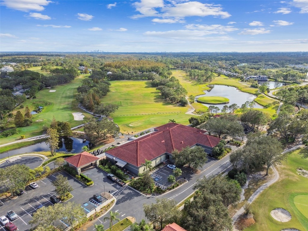 14603 Village Glen Circle Tampa FL 33618 TB8438305 image77