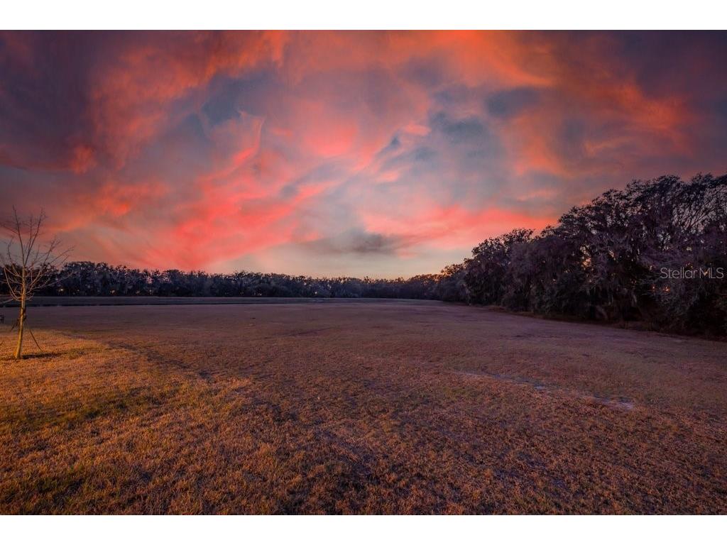 14604 Horse Trot Road Lithia FL 33547 TB8478703 image3