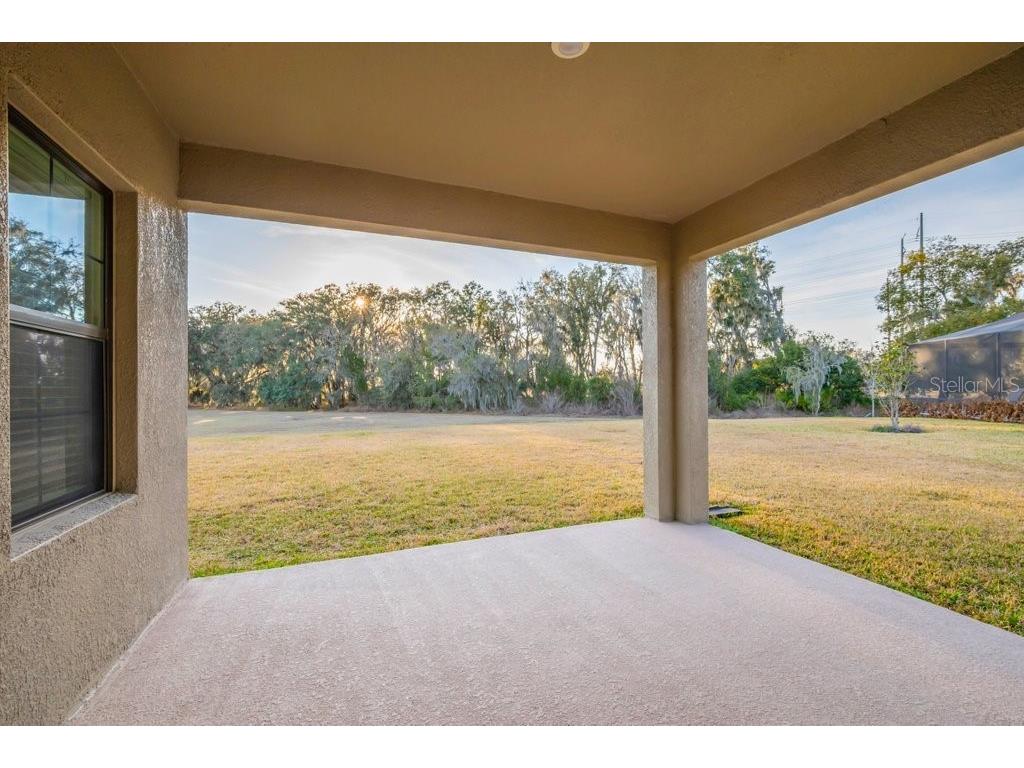 14604 Horse Trot Road Lithia FL 33547 TB8478703 image35
