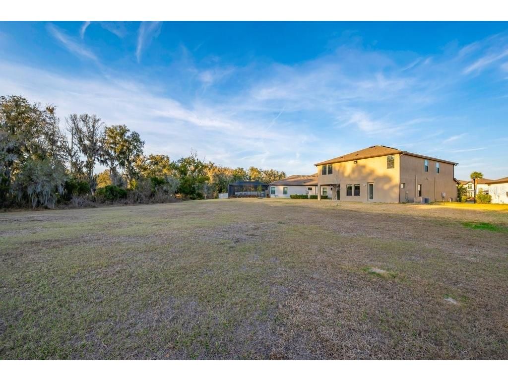 14604 Horse Trot Road Lithia FL 33547 TB8478703 image39