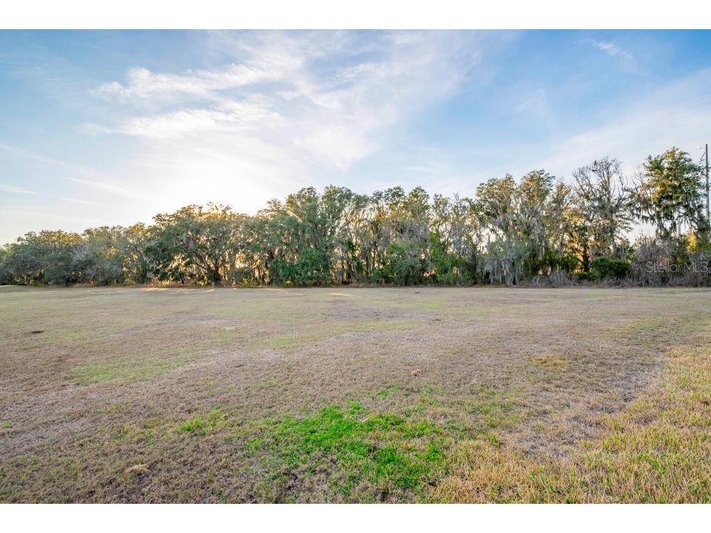 14604 Horse Trot Road Lithia FL 33547 TB8478703 image40