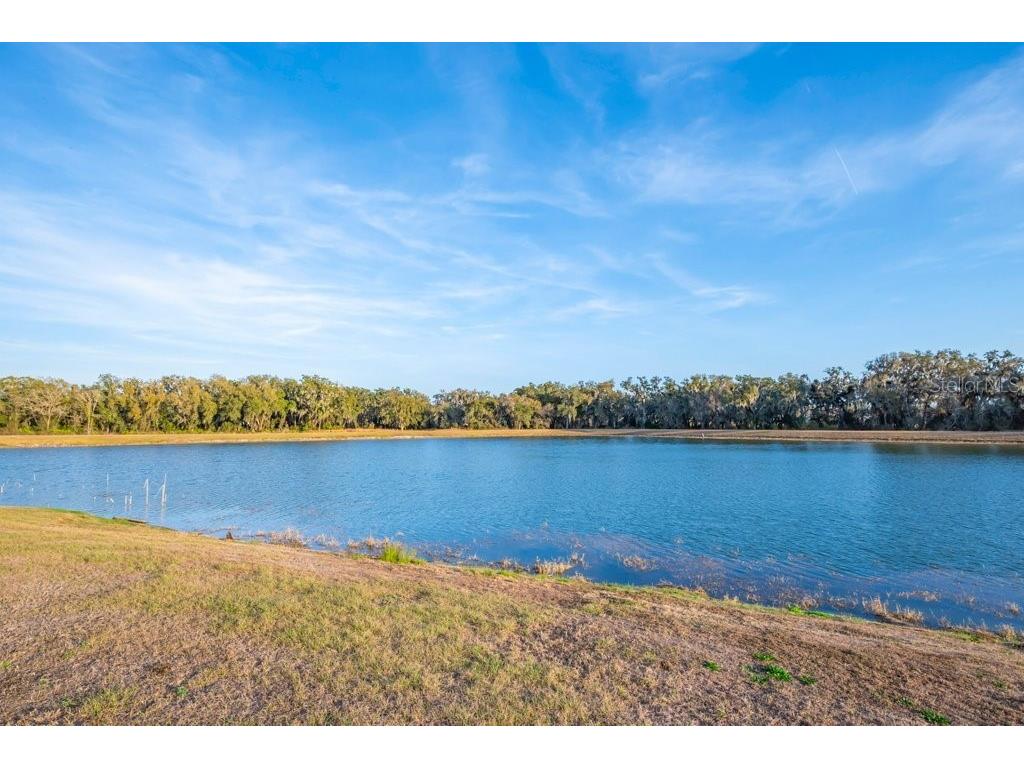 14604 Horse Trot Road Lithia FL 33547 TB8478703 image41