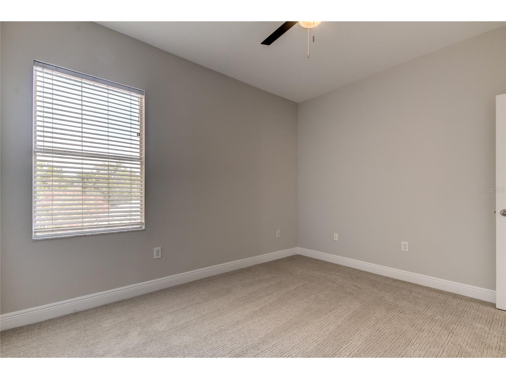 14606 Bournemouth Road Tampa FL 33626 TB8489110 image17