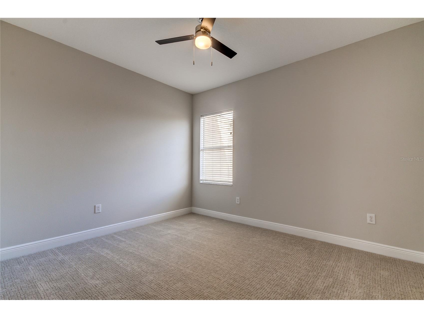 14606 Bournemouth Road Tampa FL 33626 TB8489110 image18