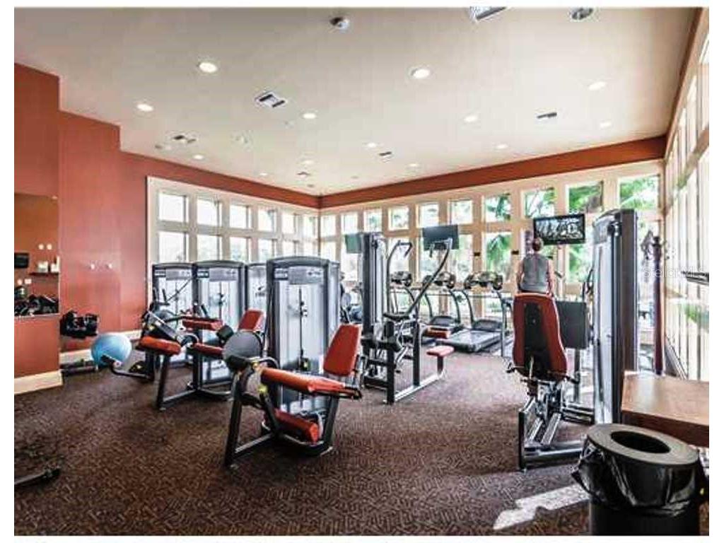 14606 Bournemouth Road Tampa FL 33626 TB8489110 image53