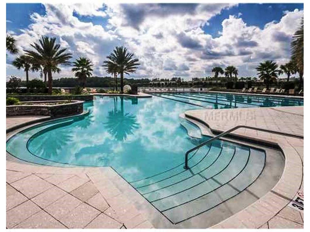 14606 Bournemouth Road Tampa FL 33626 TB8489110 image55