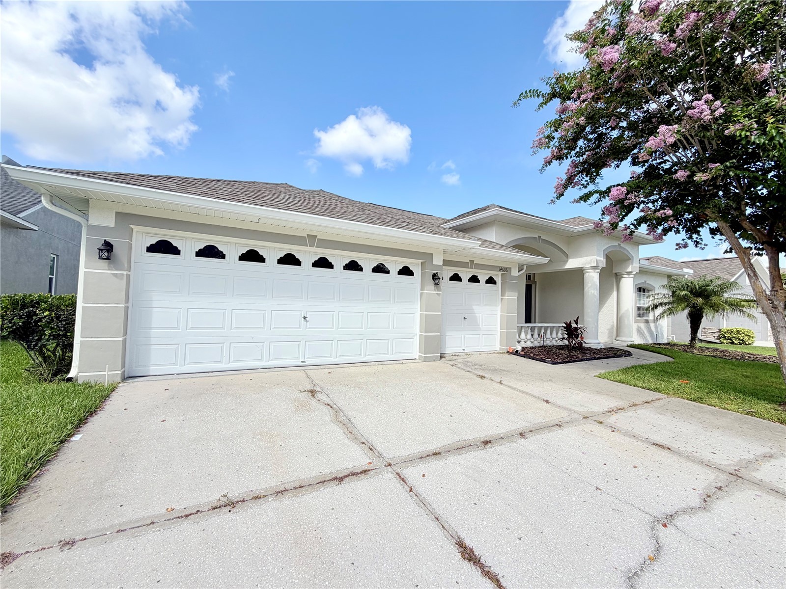 14606 Coral Berry Drive Tampa FL 33626 TB8523876 image1