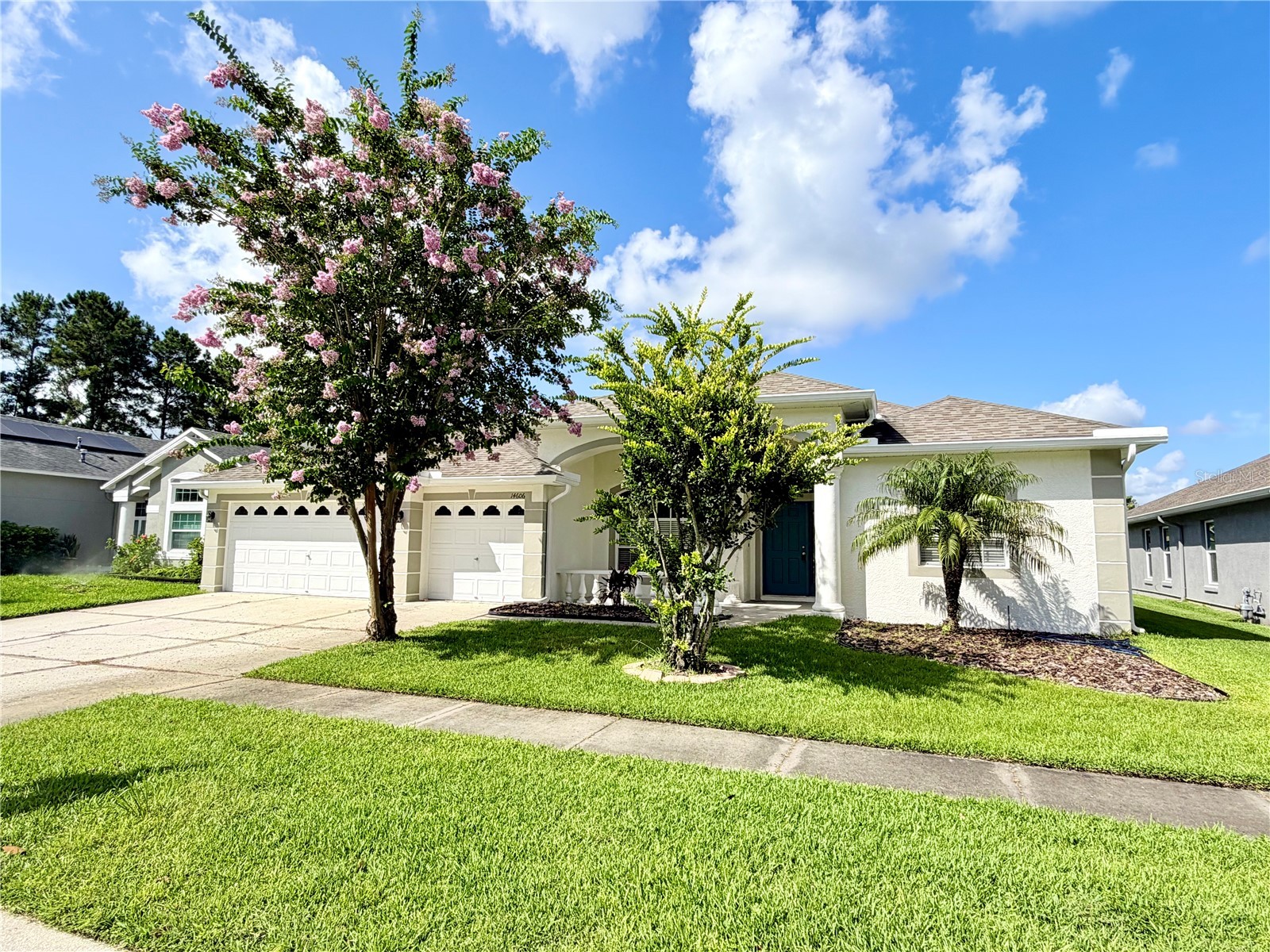 14606 Coral Berry Drive Tampa FL 33626 TB8523876 image2